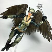Hawkgirl (Legends of Tomorrow) (DC Universe) Custom Action Figure