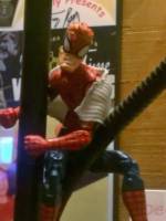 Captain Spider (Marvel Legends) Custom Action Figure