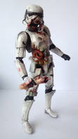Storm Trooper Zombie (Star Wars) Custom Action Figure