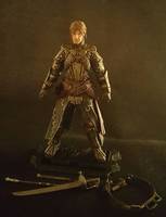 Edward Kenway (Assassin's Creed) Custom Action Figure