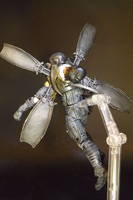Firefly (Batman) (Marvel Legends) Custom Action Figure