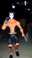 Wolverine (X-Men: Evolution) (X-Men) Custom Action Figure