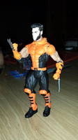 Wolverine (X-Men: Evolution) (X-Men) Custom Action Figure