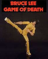 Bruce Lee (Bruce Lee) Custom Action Figure