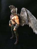 Hawkman (DC Icons) Custom Action Figure [Hawkman]