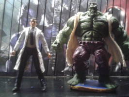 bruce banner (Marvel Universe) Custom Action Figure