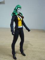 Female Joker (What if...?) (Batman) Custom Action Figure