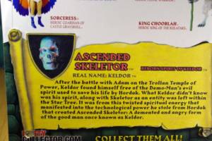 1987 MOTU Movie Skeletor (G-D Form). (Masters of the Universe) Custom Action Figure