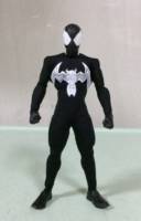 Symbiote Spider-Man (One:12 Collective) (One:12 Collective) Custom Action Figure