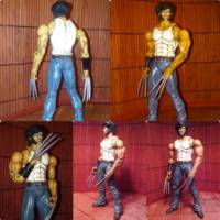 Logan(Wolverine) (Marvel Legends) Custom Action Figure