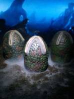 Alien Egg (Aliens) Custom Other