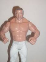 Maniac Mark Lewin (Purple Haze) (Wrestling) Custom Action Figure