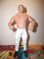 Maniac Mark Lewin (Purple Haze) (Wrestling) Custom Action Figure