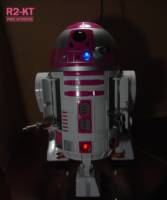 R2-KT Voice Activated (Star Wars) Custom Action Figure