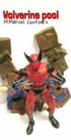 Wolverine pool (Marvel Legends) Custom Action Figure