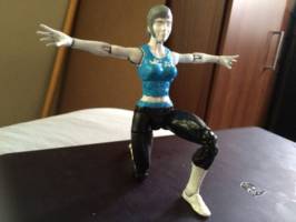 Wii Fit Trainer (Nintendo) Custom Action Figure