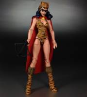 Tigress (DC Infinite Heroes) Custom Action Figure