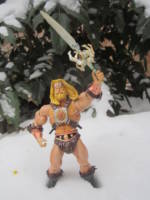 Bearded He-Man (Masters of the Universe) Custom Action Figure