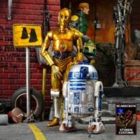 C-3po & R2-d2 (Star Wars) Custom Action Figure