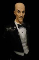 DCUC Alfred Pennyworth (DC Universe) Custom Action Figure