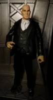 DCUC Lex Luthor (DC Universe) Custom Action Figure