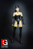 DCUC Superwoman (Justice League Crisis on Two Earths style) (DC Universe) Custom Action Figure