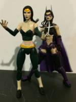 The Enchantress (DC Universe) Custom Action Figure