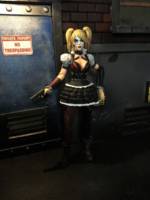 Arkham Knight Harley Quinn (Batman) Custom Action Figure
