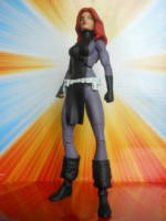 Shvaughn Erin, Science Police Liaison Officer to the Legion of Superheroes (DC Universe) Custom Action Figure