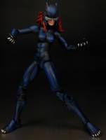 Wildcat (DC Infinite Heroes) Custom Action Figure