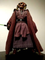 Saesee Tiin & Agen Kolar (Star Wars) Custom Action Figure [Saesee Tiin]