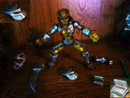 SHM Predator (Predator) Custom Action Figure
