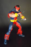 Thunderbird (John Proudstar) (Marvel Legends) Custom Action Figure