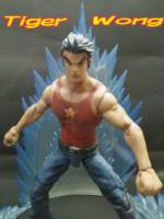 Tiger Wong ver.2 (Dragon Tiger Gate) Custom Action Figure