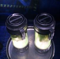 Facehugger Cryo-Stasis Tube (Aliens) Custom Other [Facehungger Stasis tube]