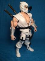 Storm Shadow (Masters of the Universe) Custom Action Figure