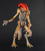 Panther Alien (Aliens) Custom Action Figure