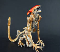 Panther Alien (Aliens) Custom Action Figure