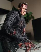 T3 T-800(Repaint) (Terminator) Custom Action Figure