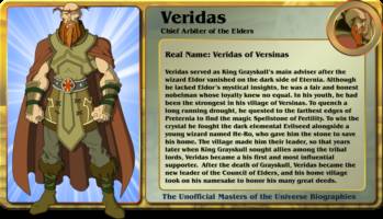 VERIDAS  chief arbiter of the elders (Masters of the Universe) Custom Action Figure