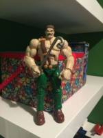 Mike haggar (Marvel vs Capcom) Custom Action Figure