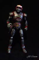 Jaspiom (Japanese Super Heros) Custom Action Figure