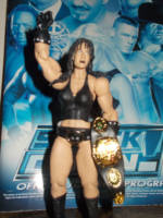 Chyna (Jakks Deluxe Style) (Wrestling) Custom Action Figure
