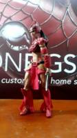 The Sang'gres of Encantadia (a local TV show from the Philippines) (Marvel Legends) Custom Action Figure
