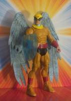 BIRDMAN Ray Randall (DC Universe) Custom Action Figure