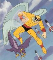 BIRDMAN Ray Randall (DC Universe) Custom Action Figure