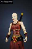 GALADRIA   warrior woman of the elders (Masters of the Universe) Custom Action Figure