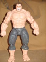 The General (DC Universe) Custom Action Figure