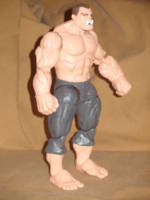 The General (DC Universe) Custom Action Figure