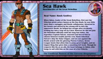 SEA HAWK swashbucler of the great rebellion (Masters of the Universe) Custom Action Figure